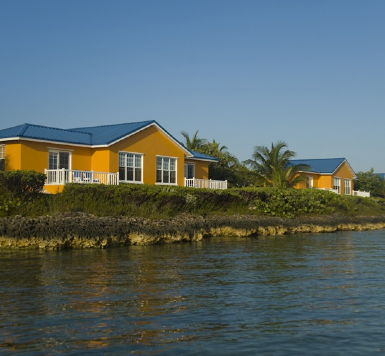 	Mangrove Cay	